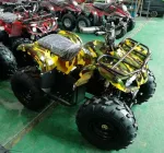 Электроквадроцикл GreenCamel Атакама T120 (48V 800W R8 Цепной привод) — изображение 10