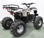 Электроквадроцикл GreenCamel Атакама T220 (48V 1000W R8 Дифференциал) — изображение 5