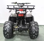 Электроквадроцикл GreenCamel Атакама T220 (48V 1000W R8 Дифференциал) — изображение 6