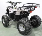Электроквадроцикл GreenCamel Атакама T220 (48V 1000W R8 Дифференциал) — изображение 7