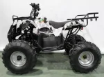 Электроквадроцикл GreenCamel Атакама T220 (48V 1000W R8 Дифференциал) — изображение 8