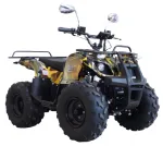 Электроквадроцикл GreenCamel Атакама T400 (60V 1500W R8 Дифференциал, Пониженная передача)(Уценка) — изображение 5
