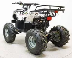 Электроквадроцикл GreenCamel Атакама T401L (60V 1200W R8 Дифф Литий) пониженная — изображение 7