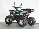 Электроквадроцикл GreenCamel Атакама T420 (60V 1500W R8 Дифференциал) пониженная, реснички — изображение 10