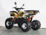 Электроквадроцикл GreenCamel Атакама T420 (60V 1500W R8 Дифференциал) пониженная, реснички — изображение 2