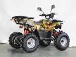Электроквадроцикл GreenCamel Атакама T420 (60V 1500W R8 Дифференциал) пониженная, реснички — изображение 4