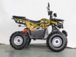 Электроквадроцикл GreenCamel Атакама T420 (60V 1500W R8 Дифференциал) пониженная, реснички — изображение 5