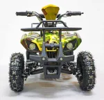 Электроквадроцикл GreenCamel Гоби K21 (36V 800W R6 Цепной привод) — изображение 11