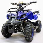 Электроквадроцикл GreenCamel Гоби K31 (36V 800W R6 Цепной привод) — изображение 2