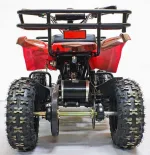Электроквадроцикл GreenCamel Гоби K31 (36V 800W R6 Цепной привод) — изображение 9