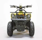 Электроквадроцикл GreenCamel Гоби K40 (36V 800W R6 Цепной привод) — изображение 6