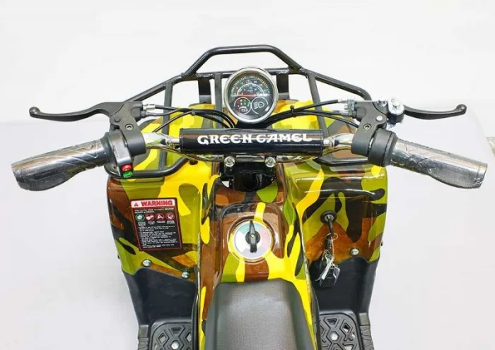 Электроквадроцикл GreenCamel Гоби K40 (36V 800W R6 Цепной привод) — изображение 8