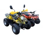 Электроквадроцикл GreenCamel Gobi K600 (36V 800W R7 Цепной привод) — изображение 12