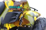 Электроквадроцикл GreenCamel Gobi K600 (36V 800W R7 Цепной привод) — изображение 13