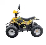 Электроквадроцикл GreenCamel Gobi K600 (36V 800W R7 Цепной привод) — изображение 3