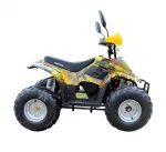 Электроквадроцикл GreenCamel Gobi K600 (36V 800W R7 Цепной привод) — изображение 4