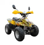Электроквадроцикл GreenCamel Gobi K600 (36V 800W R7 Цепной привод) — изображение 5