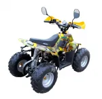 Электроквадроцикл GreenCamel Gobi K600 (36V 800W R7 Цепной привод) — изображение 6