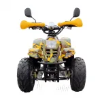 Электроквадроцикл GreenCamel Gobi K600 (36V 800W R7 Цепной привод) — изображение 7