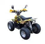 Электроквадроцикл GreenCamel Gobi K600 (36V 800W R7 Цепной привод) — изображение 8
