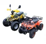 Электроквадроцикл GreenCamel Gobi K600 (36V 800W R7 Цепной привод) — изображение 10