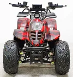 Электроквадроцикл GreenCamel Гоби K70 (36V 800W R7 Дифференциал) — изображение 8