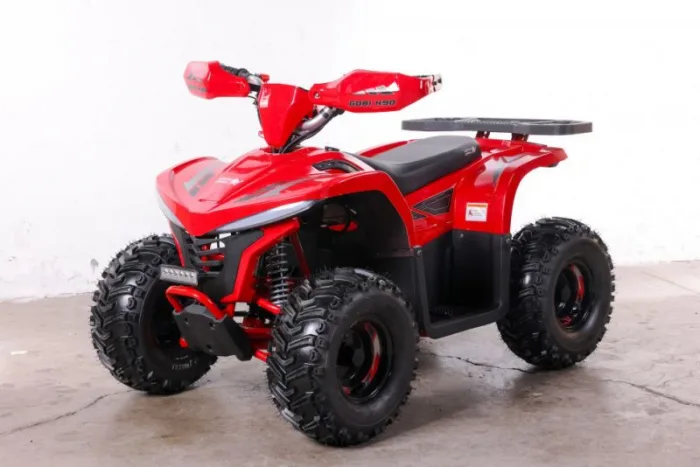 Электроквадроцикл GreenCamel Гоби K90 (48V 750W R7 Дифференциал) — изображение 2