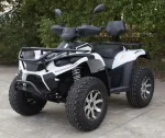 Электроквадроцикл GreenCamel Linhai A-LH40DA (3900W 50 км/ч) — изображение 5