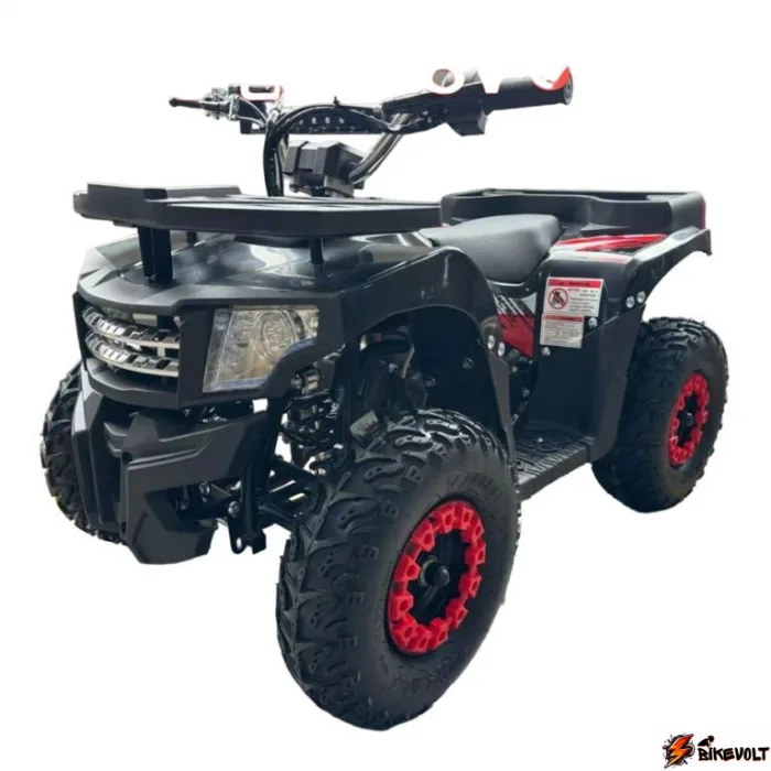 elektrokvadrotsikl-ikingi-0 Электроквадроцикл Ikingi — изображение 1