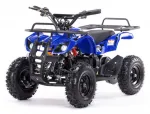 Электроквадроцикл MOTAX ATV Х-16 BIGWHEEL — изображение 2