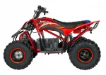 Электроквадроцикл MOTAX E-PENTORA 1500W NEW — изображение 3