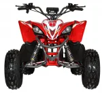 Электроквадроцикл MOTAX E-PENTORA 1500W NEW — изображение 7