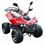 Электроквадроцикл Mytoy 2000B 1000W 60V20Ah — изображение 2