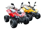 Электроквадроцикл Mytoy 2000B 1000W 60V20Ah — изображение 3
