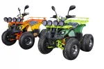 Электроквадроцикл Mytoy 800D-32 800W 48V32Ah — изображение 3