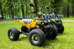 Электроквадроцикл Mytoy 800D-32 800W 48V32Ah — изображение 7