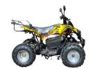 Электроквадроцикл Mytoy T-300 1000W Желтый камуфляж — изображение 8