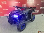 Электроквадроцикл Scan Moto Stalker
