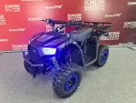 Электроквадроцикл Scan Moto Stalker — изображение 2