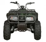 Электроквадроцикл Вездеход-04У — изображение 5