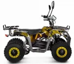 Электроквадроцикл Voltrix Bars 36V1000W — изображение 2