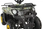 Электроквадроцикл Voltrix Bars 36V1000W — изображение 6