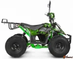 Электроквадроцикл Voltrix Hornet 36V800W