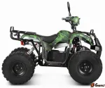 Электроквадроцикл Voltrix Kalmar 60V1000W