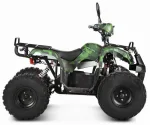 Электроквадроцикл Voltrix Kalmar 60V1000W — изображение 2