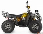 Электроквадроцикл Voltrix Raider Dual Motor 60V4000W
