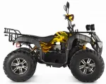 Электроквадроцикл Voltrix Raider Dual Motor 60V4000W — изображение 2