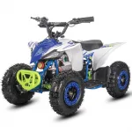 Электроквадроцикл WHITE SIBERIA SNEG LETO R 1000W — изображение 2