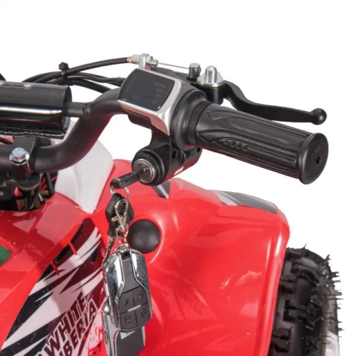 Электроквадроцикл WHITE SIBERIA SNEG LETO R 1000W — изображение 13