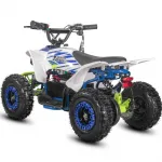 Электроквадроцикл WHITE SIBERIA SNEG LETO R 1000W — изображение 4